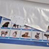 Animals - Interactive Educational Poster